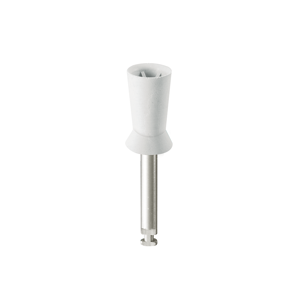 PR3-Medium Prophy One