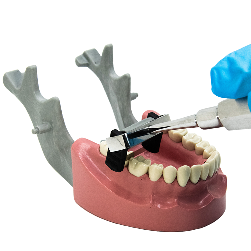 Magic Strip Holder (Slenderization)