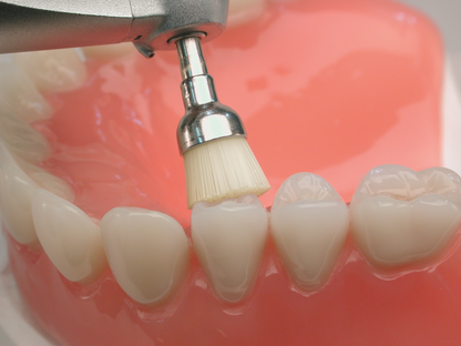 1257RA - Polishing Brush Prophylaxis Cup