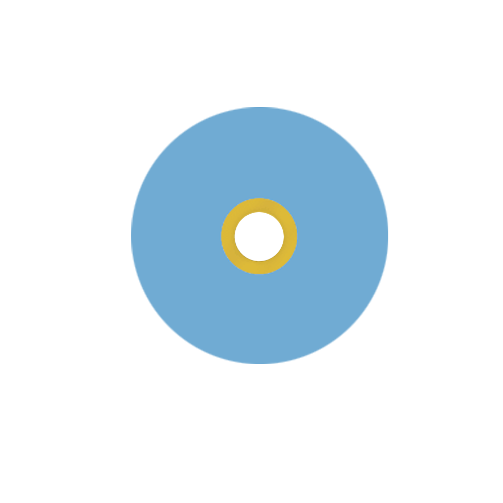 Flexi-Dia Disc