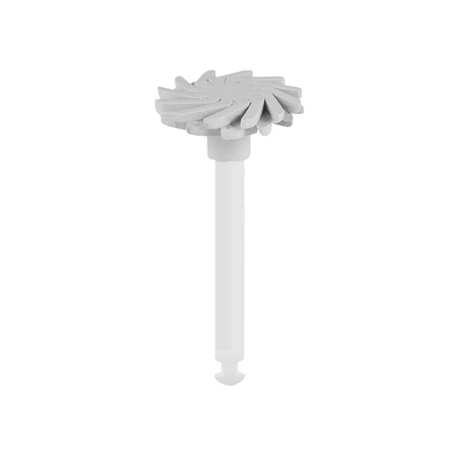 PRT-W- Prophy Twist RA