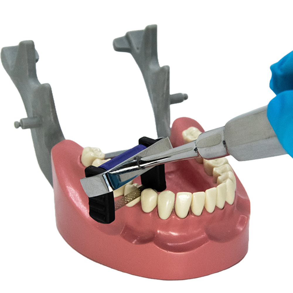 MS-Holder Magic Strip™ Holder