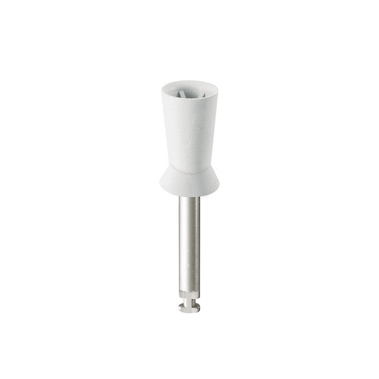 PR3-Medium Prophy One