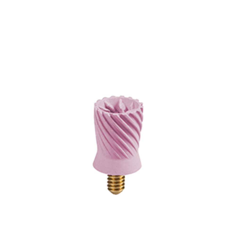 PRP-3 Prophy Plus