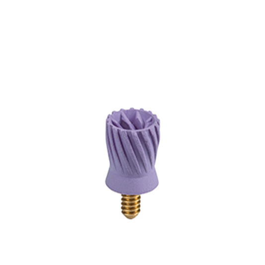 PRP-3K Prophy Plus