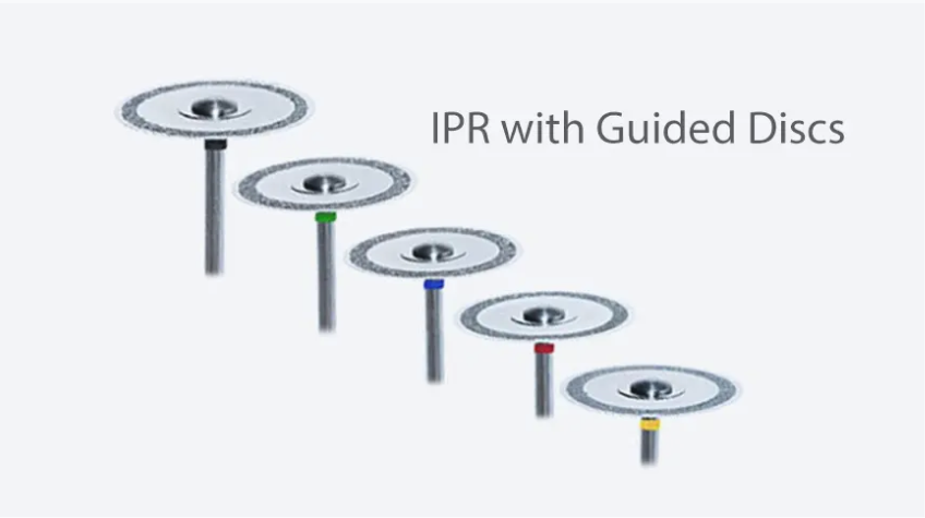 Galler Ostreicher Category Image